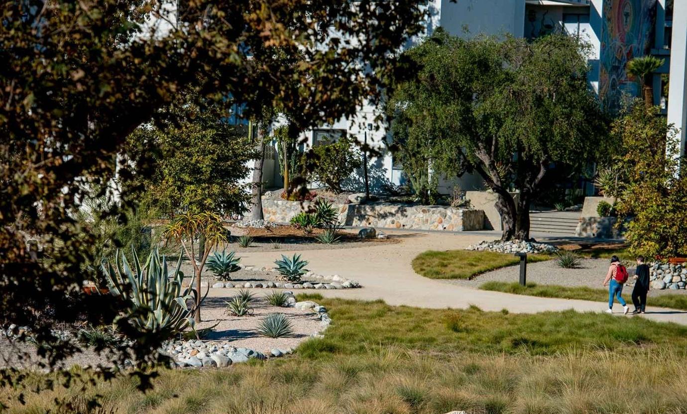 two students walk across the desert landscape of Holden garden